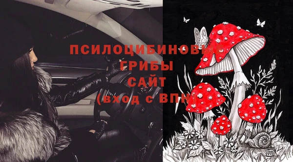 2c-b Армянск